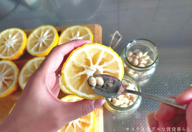 柚子の種の化粧水　作り方